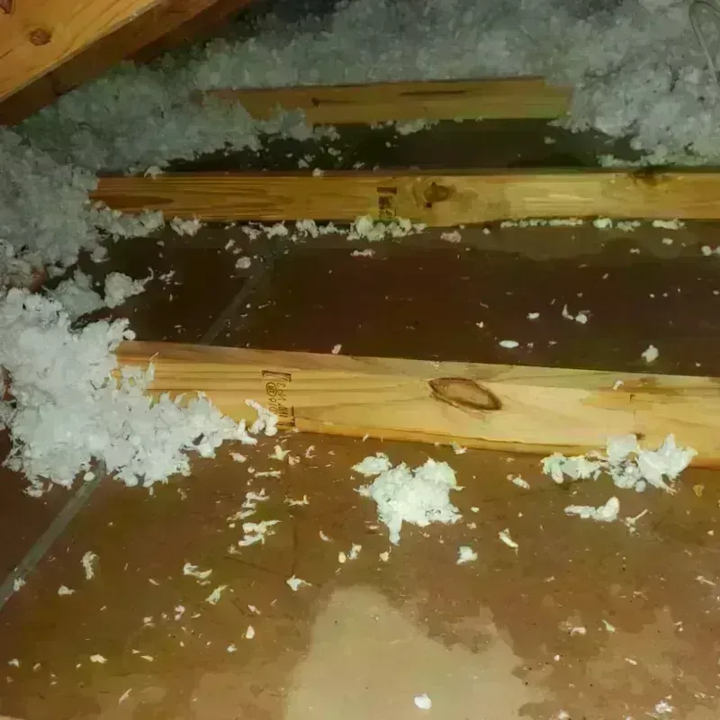 Attic Water Damage in Collinsburg, PA