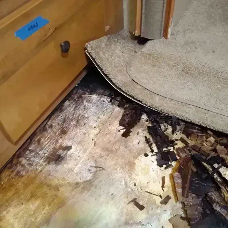 Best Wood Floor Water Damage Service in Collinsburg, PA